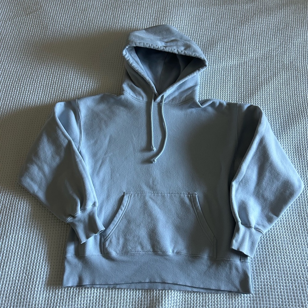 Aritzia TNA Cozy Fleece Boyfriend Hoodie Light Blue